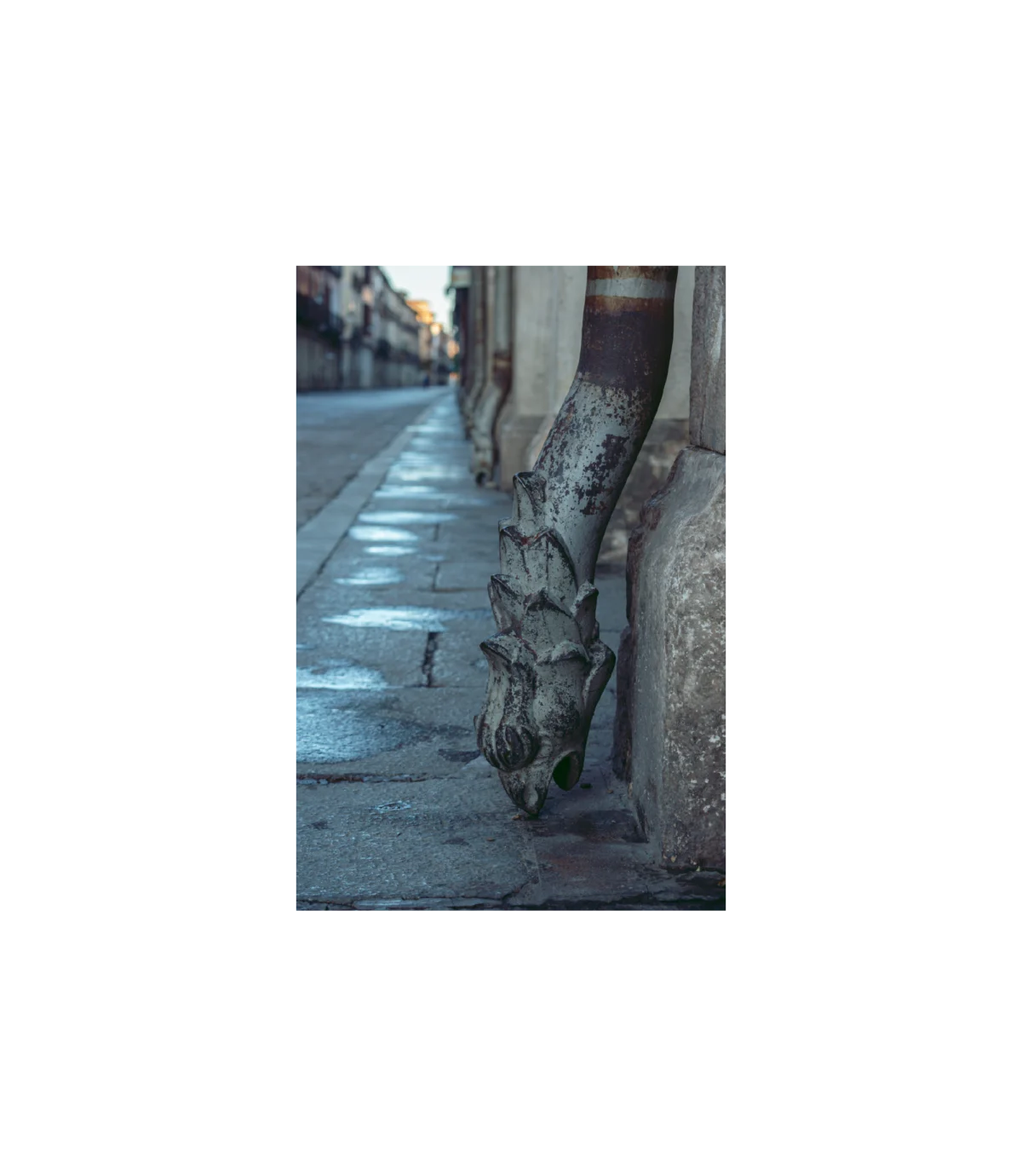 Dragón Vierte Aguas Calle Mayor - Fotografía
