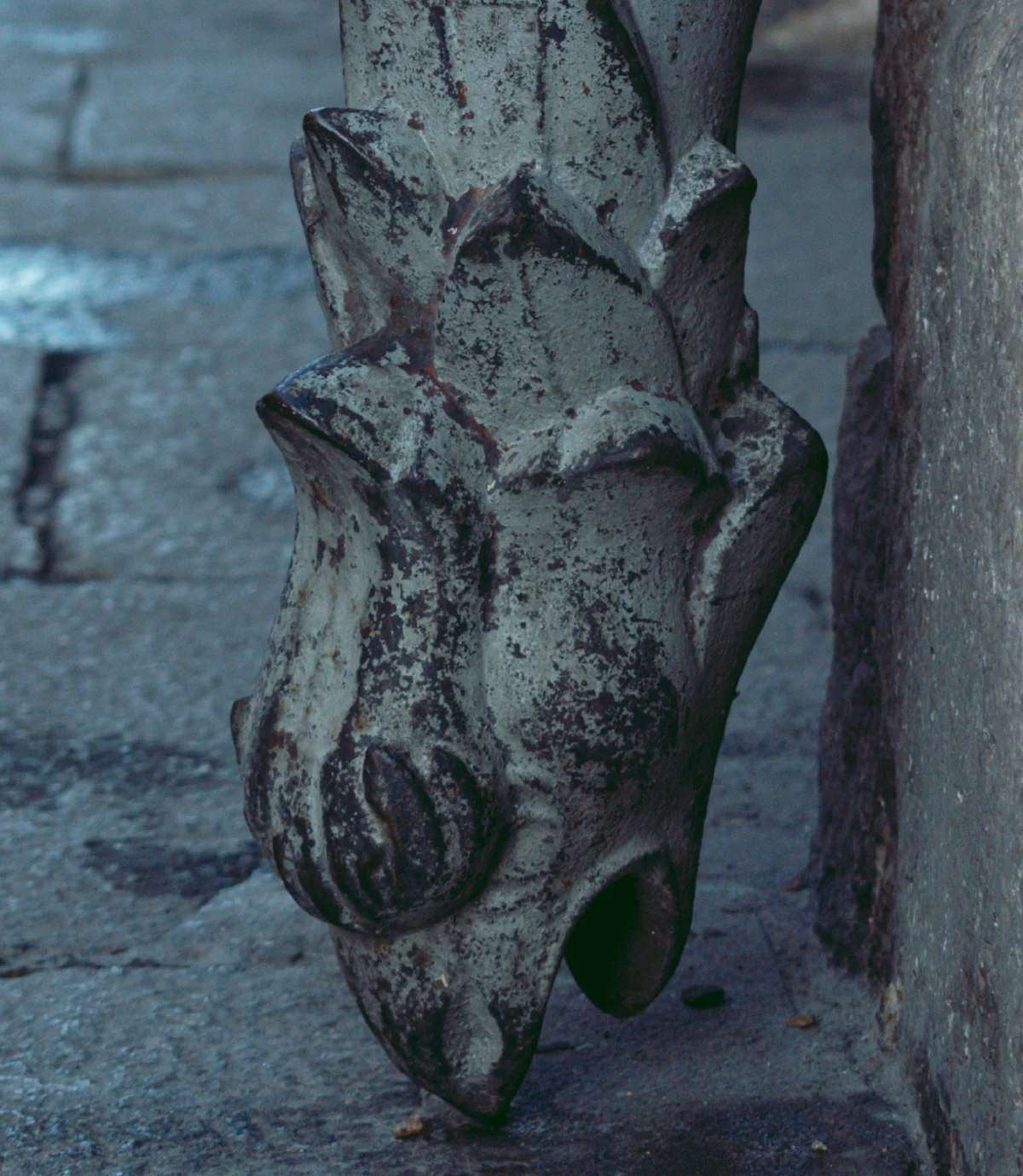 Dragón Vierte Aguas Calle Mayor - Fotografía